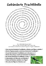 Gebänderte Prachtlibelle.pdf